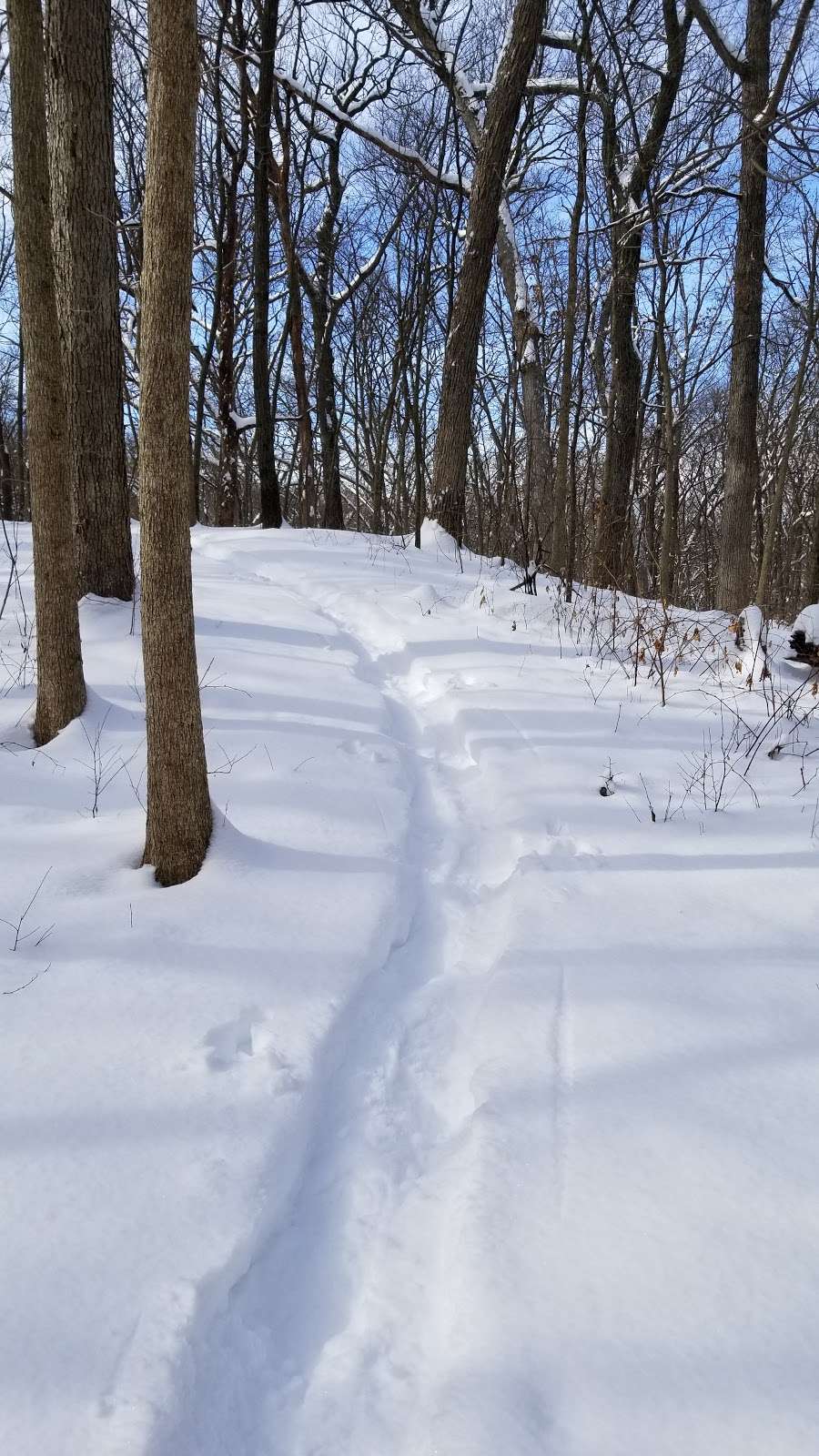 Ice Age Trail Parking Out To Rice Lake | 7206 US-12, Whitewater, WI 53190, USA