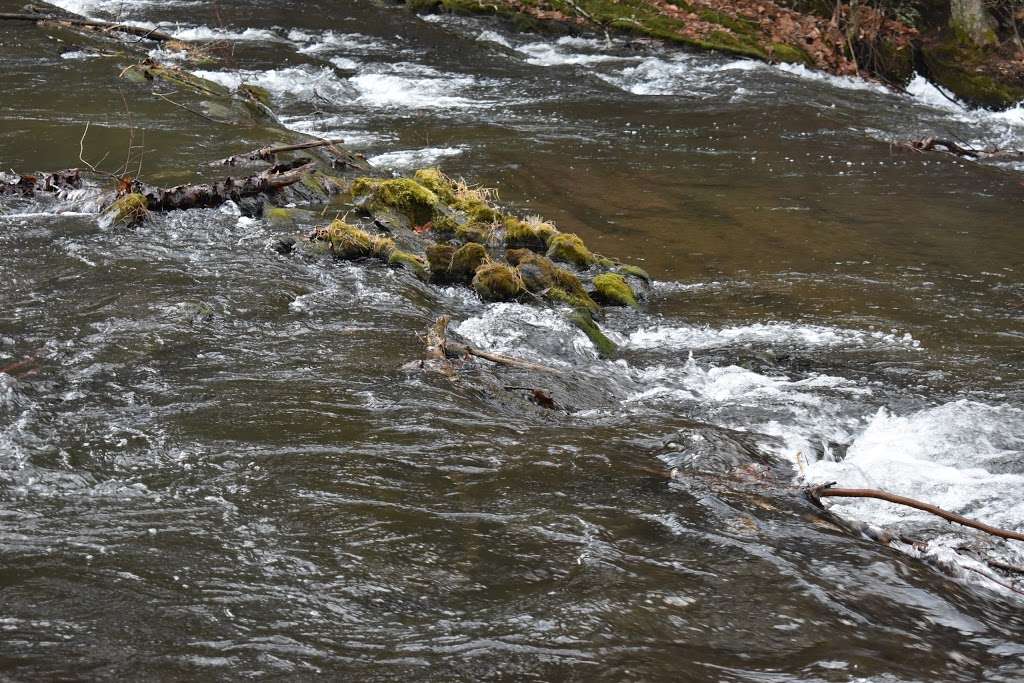 Buttermilk Falls | Buttermilk Falls Rd, East Stroudsburg, PA 18301