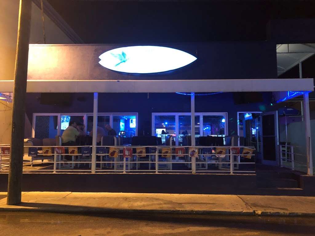 The Blue Macaw | 1502, 234 Almond Ave, Fort Lauderdale, FL 33316, USA | Phone: (754) 779-7842