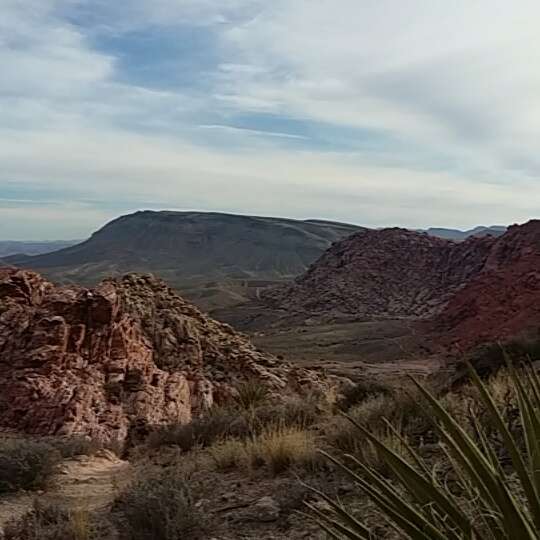 Calico Basin Trail | Calico Basin Rd, Las Vegas, NV 89161, USA | Phone: (702) 515-5350