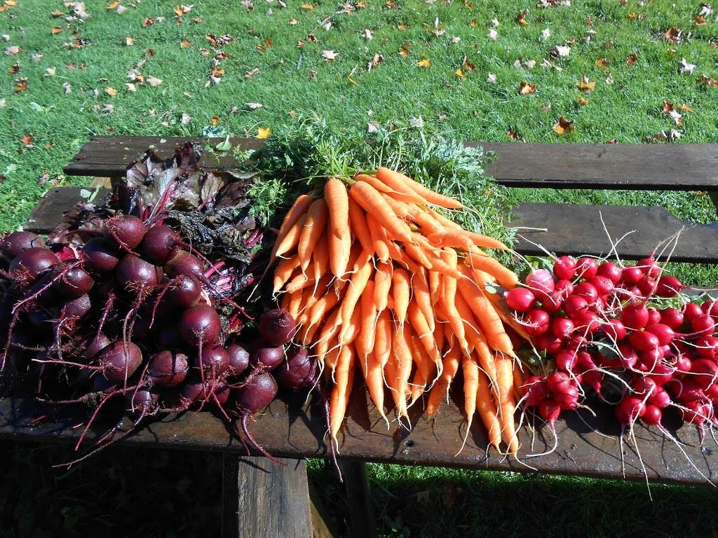 Maple Bank Farm | 57 Church St, Roxbury, CT 06783, USA | Phone: (860) 354-7038