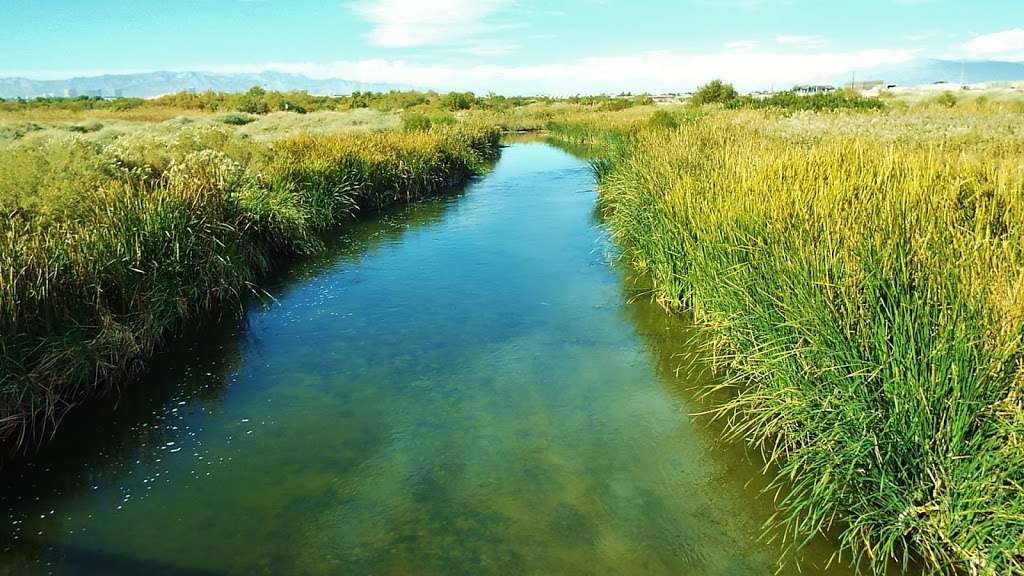 Clark County Wetlands Park | 7050 Wetlands Park Ln, Las Vegas, NV 89122, USA | Phone: (702) 455-7522