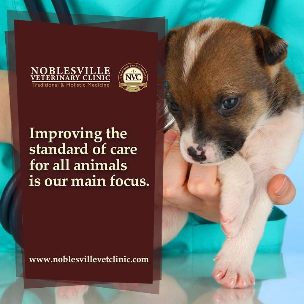 Noblesville Veterinary Clinic - Dr. Tim Fleck | 3355 Conner St, Noblesville, IN 46060, USA | Phone: (317) 773-3283