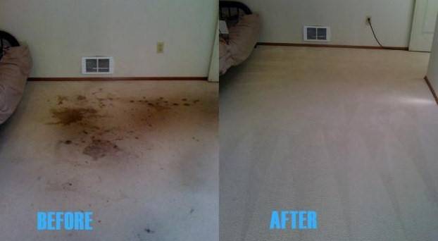 Premier Carpet Cleaning | 5519 NE 49th Ave, Vancouver, WA 98661, USA | Phone: (360) 356-4500