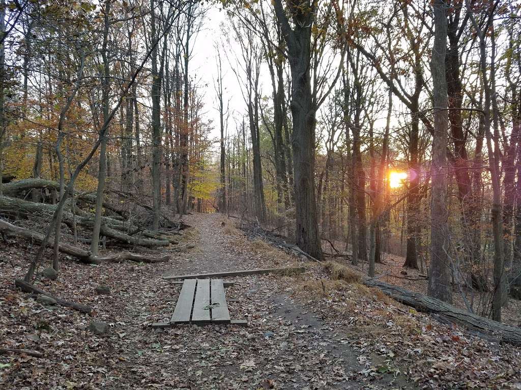 Flat Rock Brook Nature Center | 443 Van Nostrand Ave, Englewood, NJ 07631, USA | Phone: (201) 567-1265