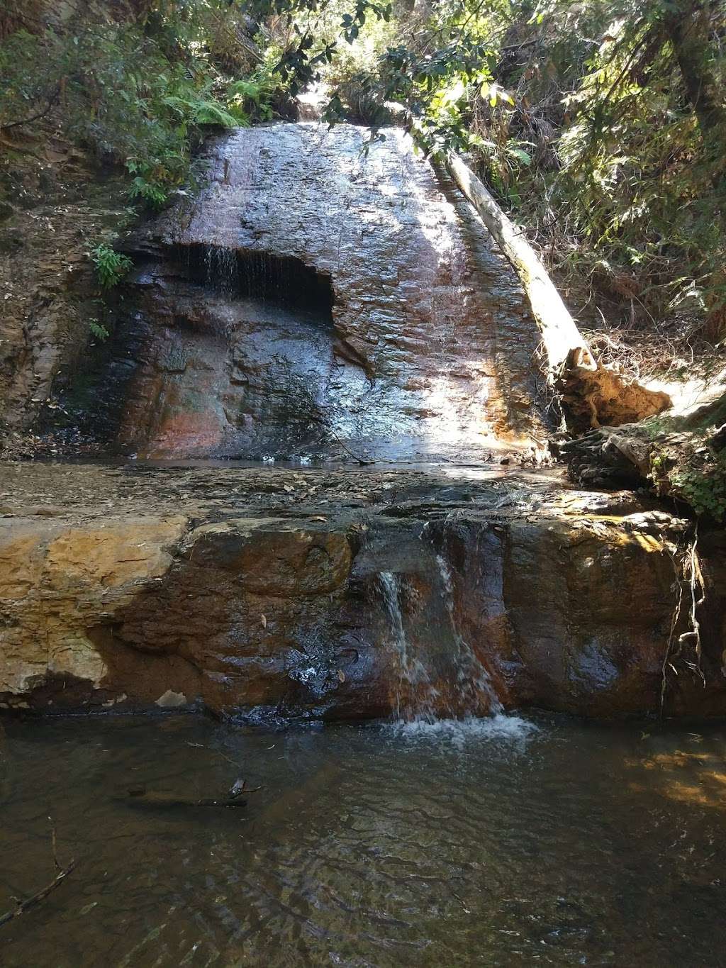 West Waddell Creek State Wilderness | Davenport, CA 95017, USA