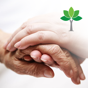 Guardian Hospice and Palliative Care | 1214 Park St #203, Stoughton, MA 02072 | Phone: (781) 341-1711