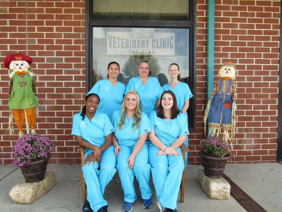 Sykesville Veterinary Clinic | 20-C Liberty Rd, Sykesville, MD 21784, USA | Phone: (410) 549-7798