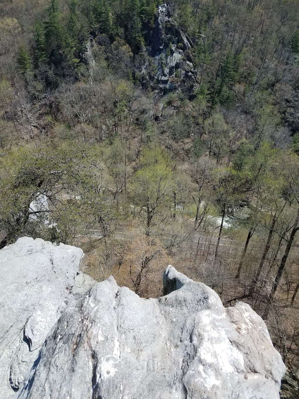 Rocks State Park - Rock Ridge Picnic Area | Jarrettsville, MD 21084, USA