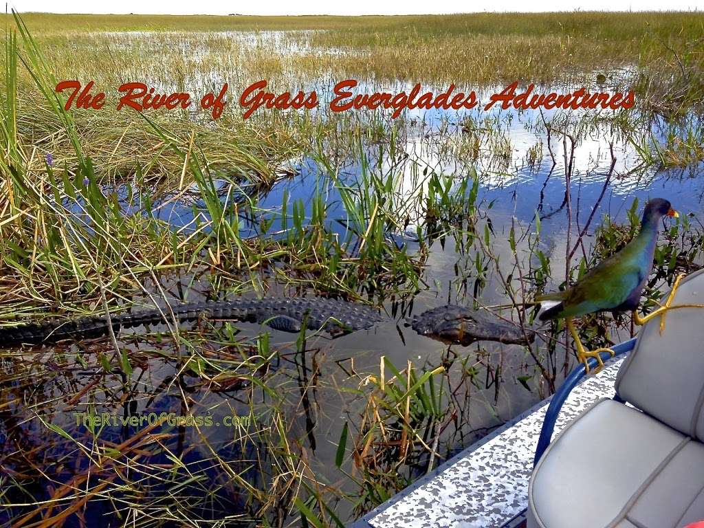 Everglades River of Grass Adventures | 17696 SW 8th St, Miami, FL 33194, USA | Phone: (305) 788-2418