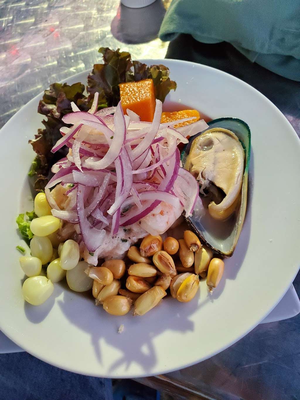 Ceviches Peru | 2692 Palm Ave, Hialeah, FL 33010, USA | Phone: (786) 631-4108