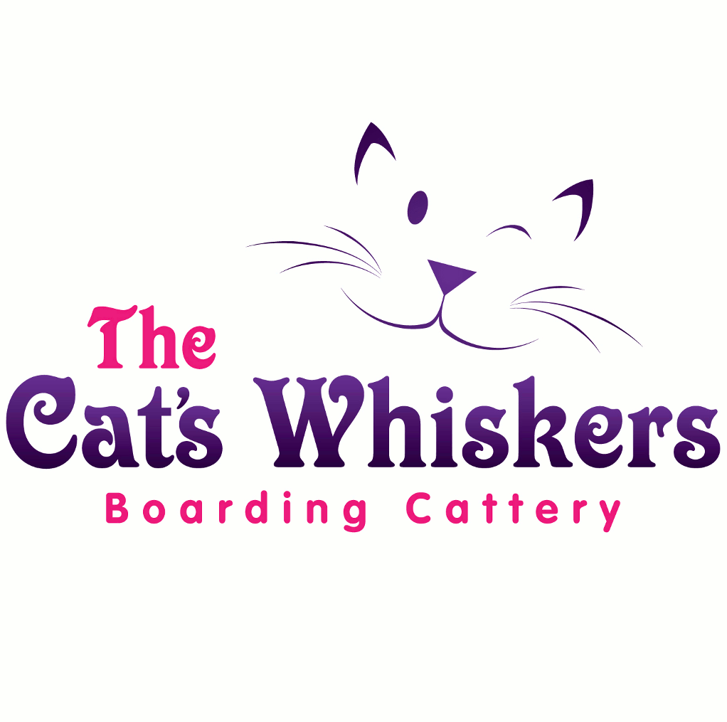 Cats Whiskers Cattery | 1 Oaklands Ln, St Albans AL4 0HR, UK | Phone: 01727 851817