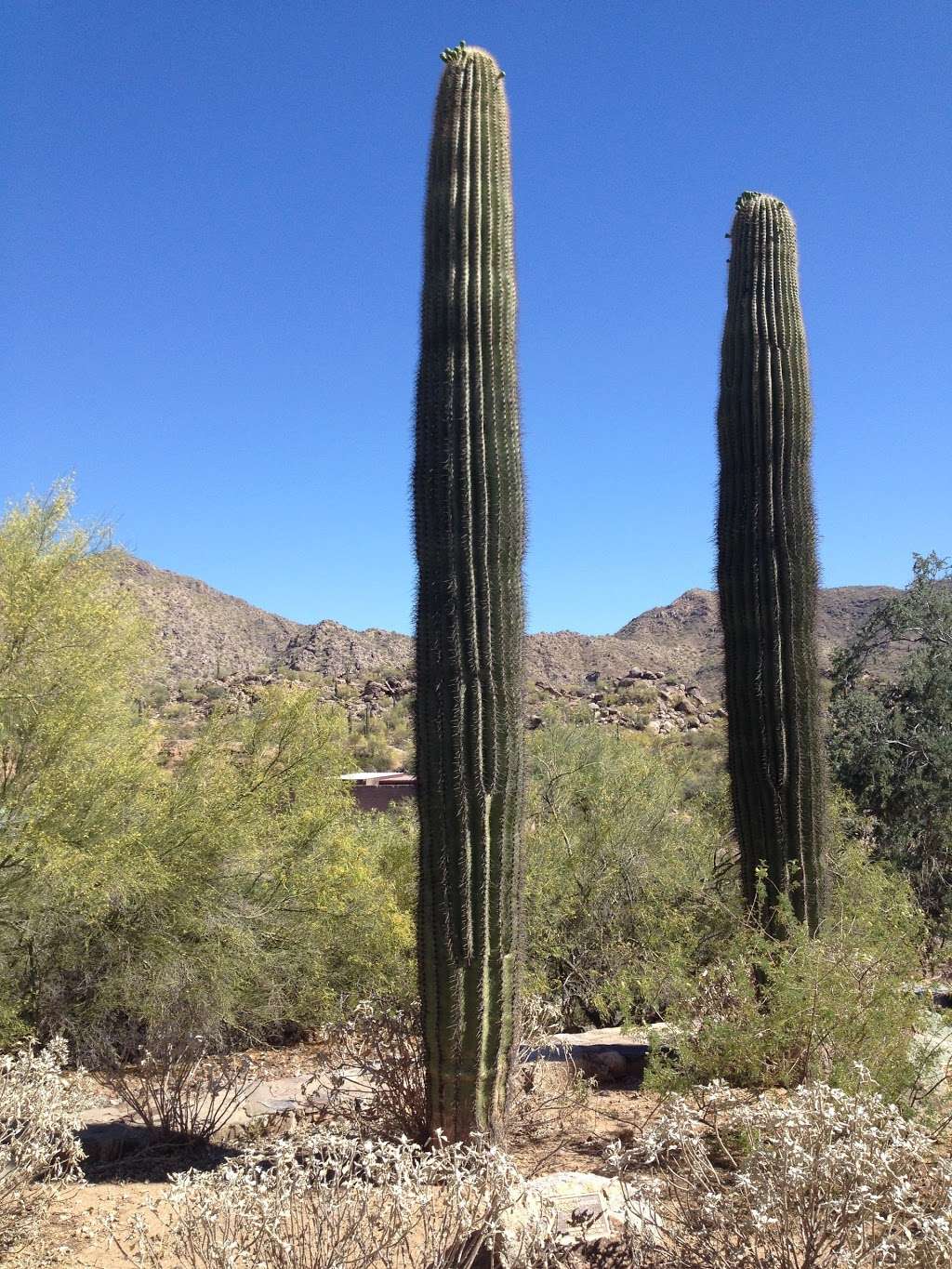 South Mountain Ranger Station | 10998 S Central Ave, Phoenix, AZ 85042, USA