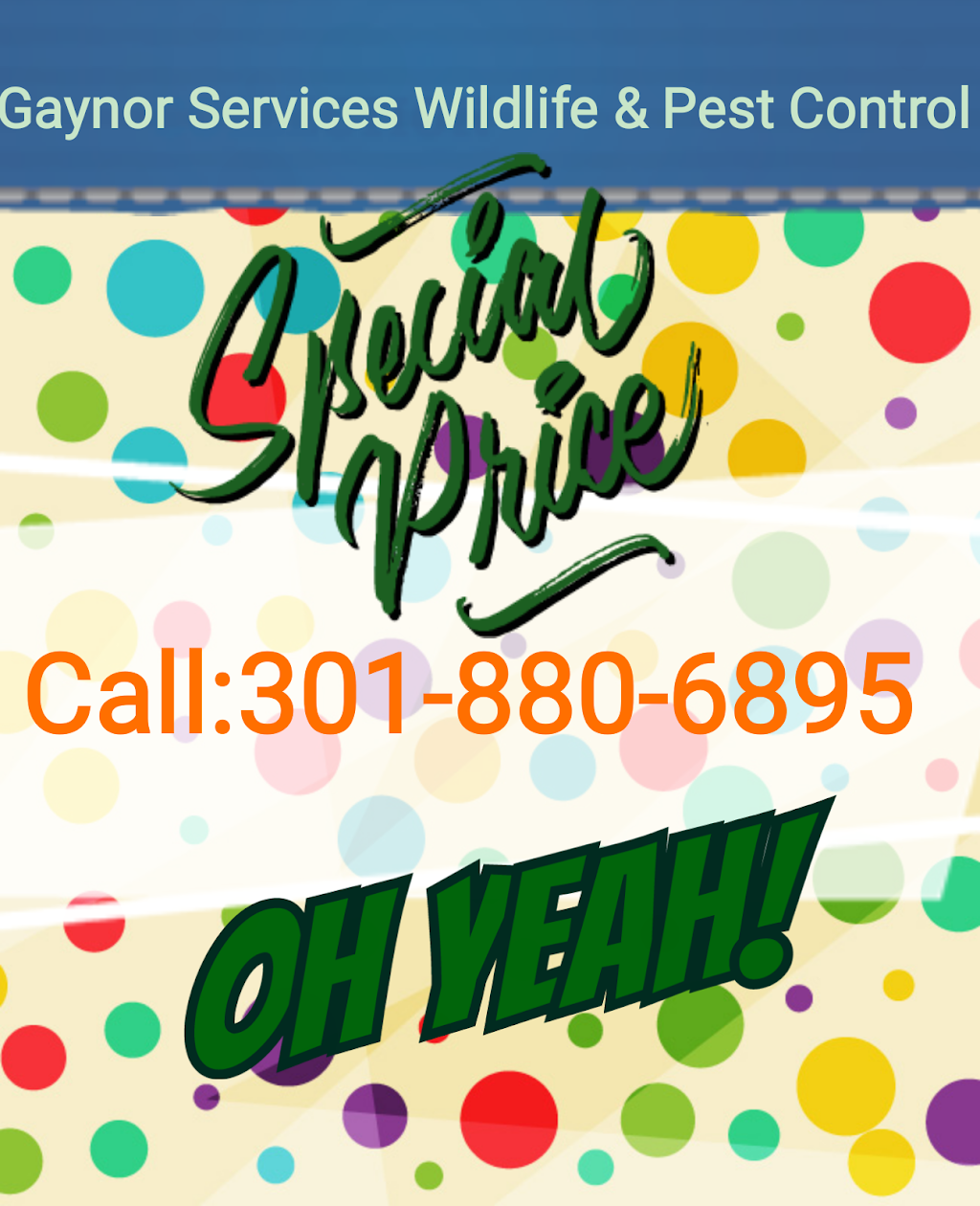 Gaynor Services pest and wildlife control | 46823 Flower Dr, Lexington Park, MD 20653, USA | Phone: (240) 237-2901