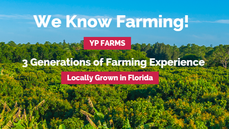 YP Farms | 6450 190th St N, Loxahatchee, FL 33470 | Phone: (561) 784-7860