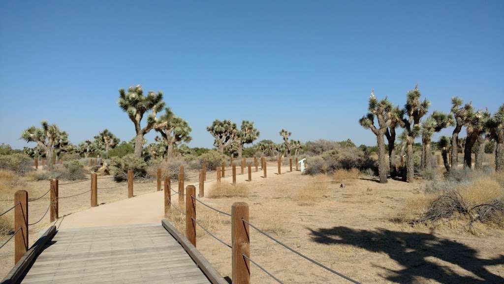 Prime Desert Woodland Preserve | 43201 35th St W, Lancaster, CA 93536 | Phone: (661) 723-5928