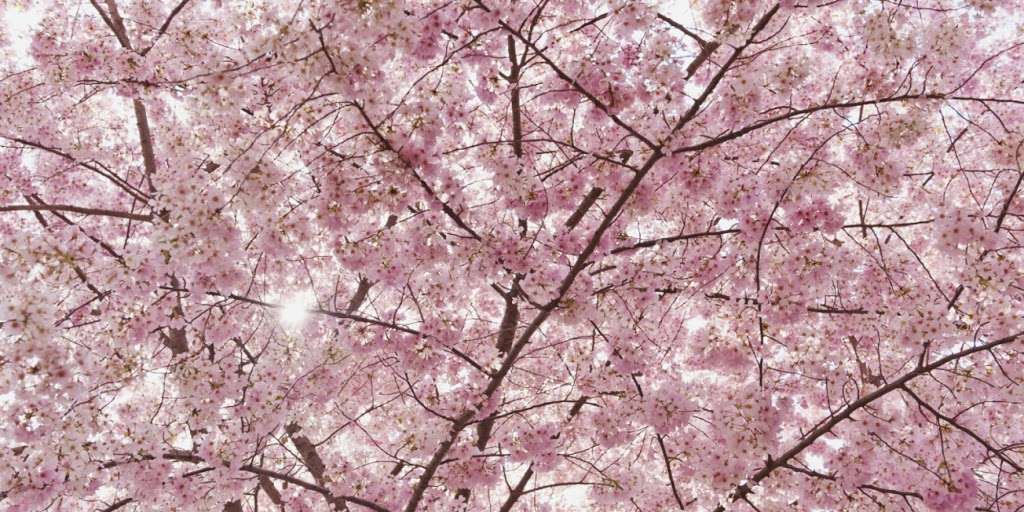 Body Aware New York Acupuncture and Trigger Point | 237 E 14th St, New York, NY 10003, USA | Phone: (212) 498-9144 Body Aware New York Acupuncture and Trigger Point | 237 E 14th St, New York, NY 10003, USA | Phone: (212) 498-9144