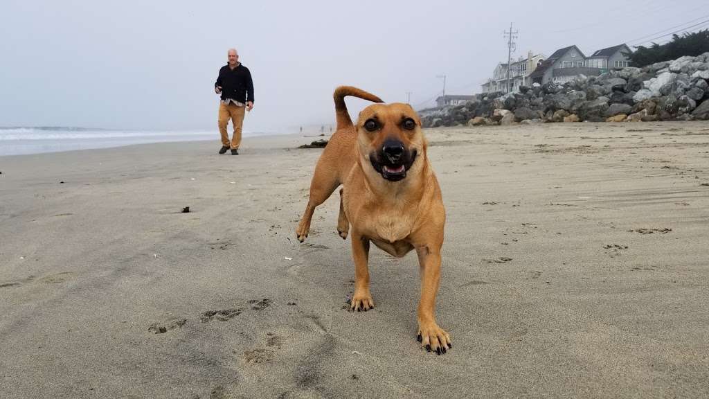 Mirada Surf Beach | Mirada Rd & Magellan Ave, Half Moon Bay, CA 94019, USA