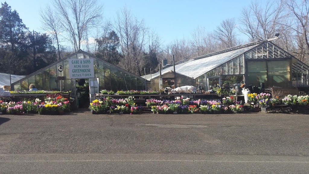 Meng Road Greenhouse | 27 Meng Rd, Schwenksville, PA 19473, USA | Phone: (610) 287-8356