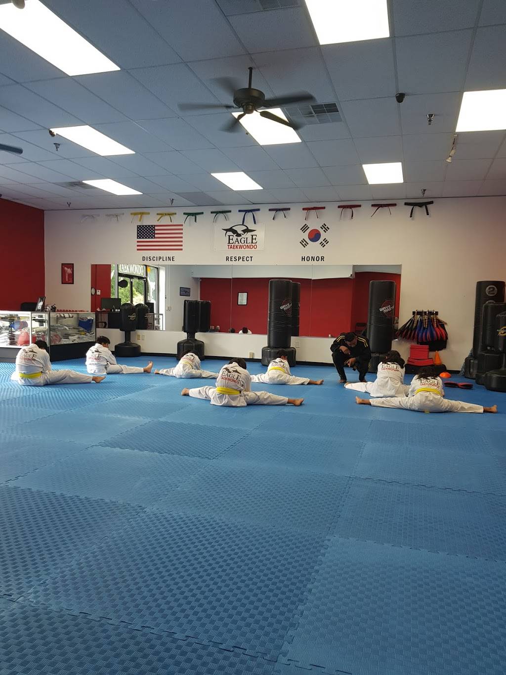 eagle taekwondo takes martial arts training to new heights | 1418 Avondale Dr, Durham, NC 27701, USA | Phone: (919) 824-8147