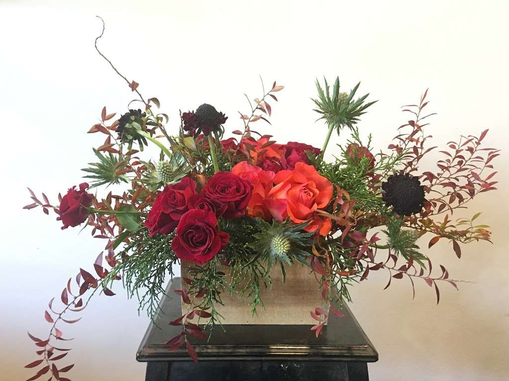 Derby Farm Flowers & Gardens | 218 Massachusetts Ave, Arlington, MA 02474, USA | Phone: (781) 643-0842