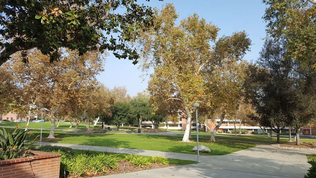 University Quad | Pomona, CA 91768 | Phone: (909) 869-7659