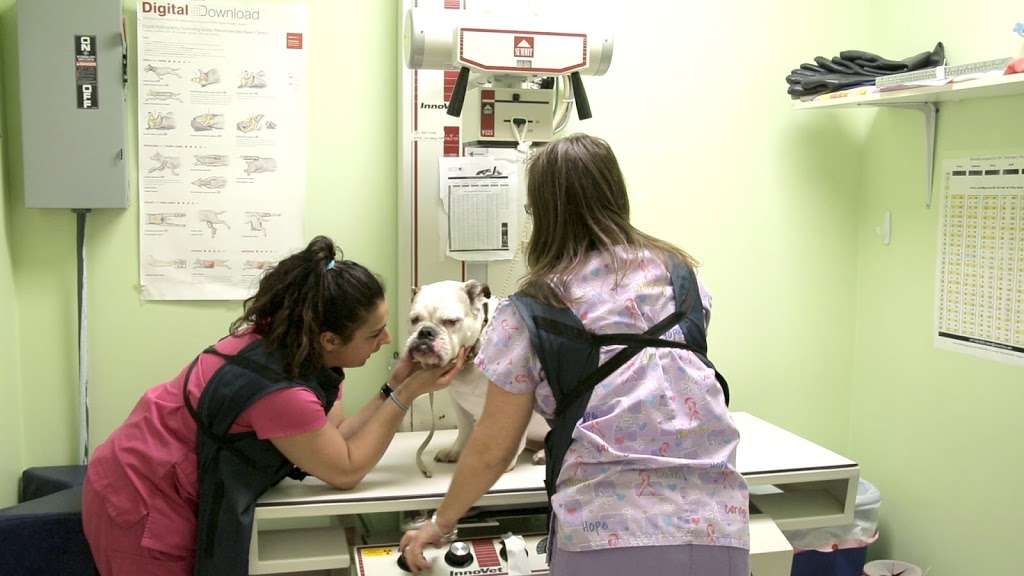 DPC Veterinary Hospital | 6991 Stirling Rd, Davie, FL 33314 | Phone: (954) 989-9879