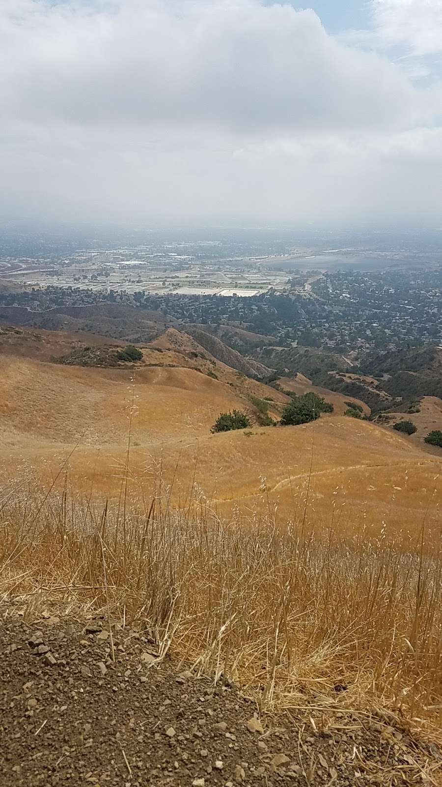 Top Of Omelveny | Granada Hills, CA 91344, USA