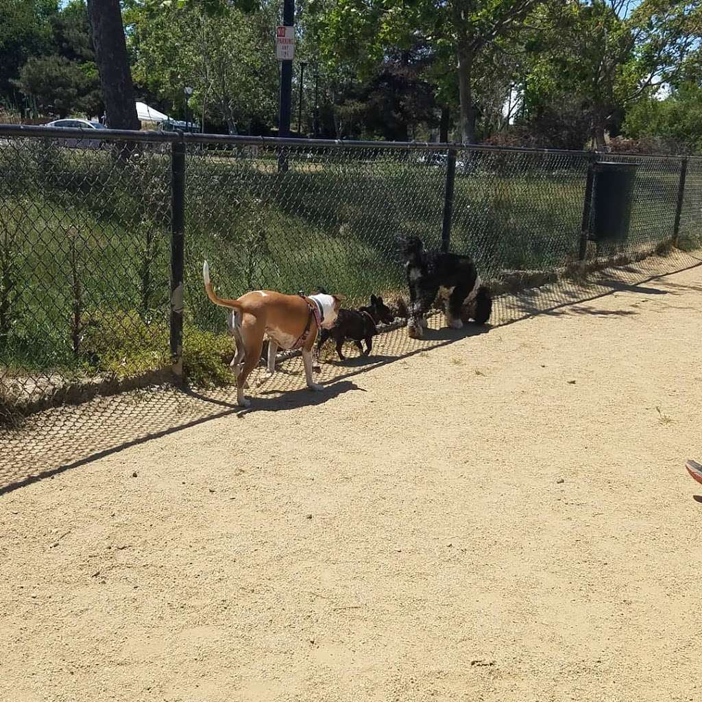 Dog Park | N Shoreline Blvd & North Rd, Mountain View, CA 94043, USA | Phone: (650) 903-6392