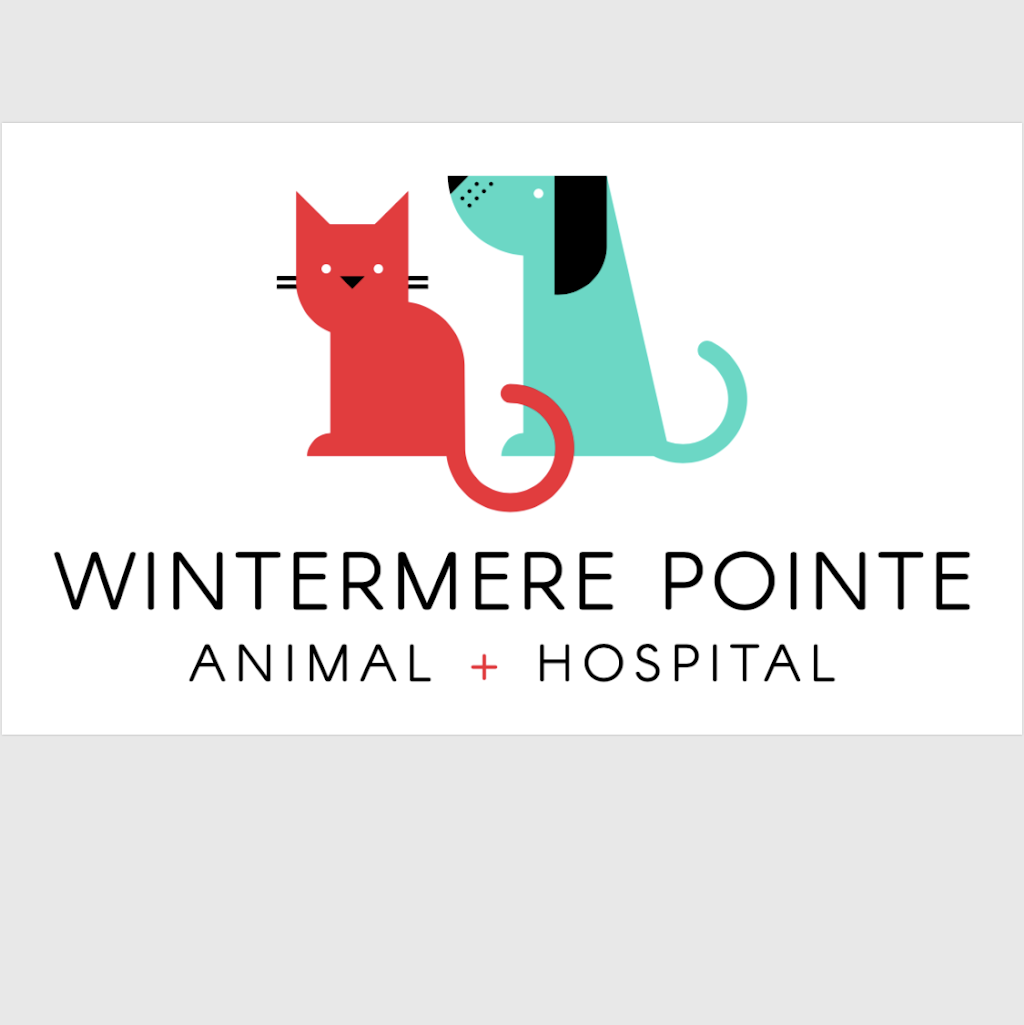 Wintermere Pointe Animal Hospital | 13848 Tilden Rd Suite 142, Winter Garden, FL 34787, USA | Phone: (407) 554-3422