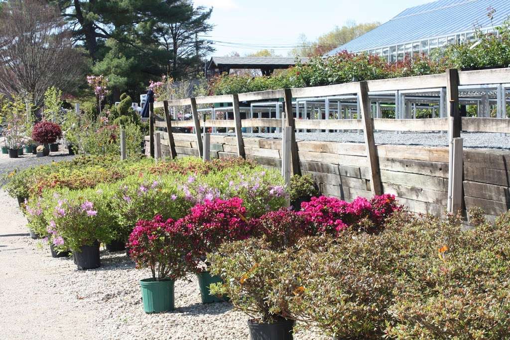 Weston Nurseries | 93 E Main St, Hopkinton, MA 01748, USA | Phone: (508) 435-3414