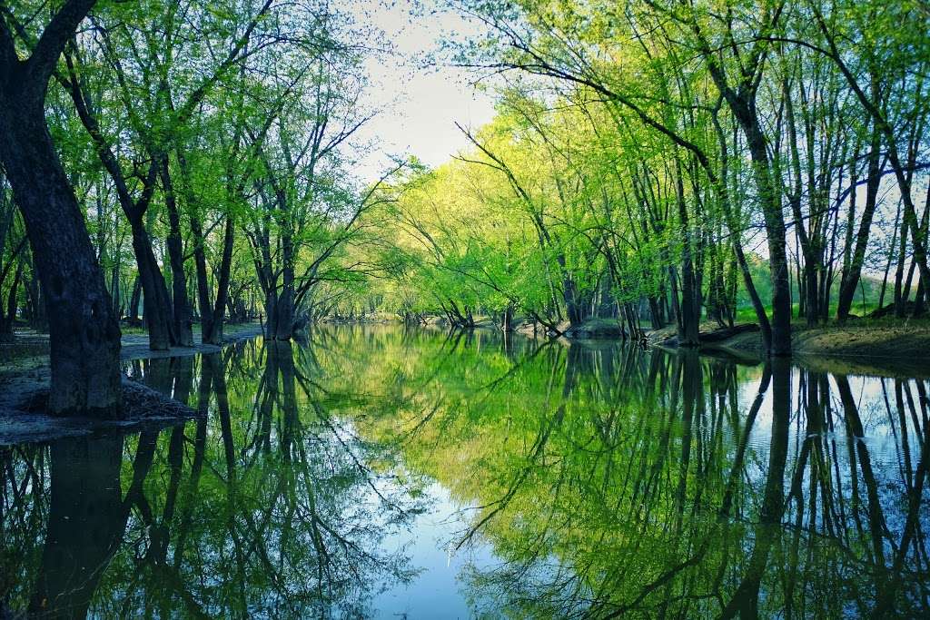 North Fork State Wildlife Refuge | Bloomington, IN 47401, USA