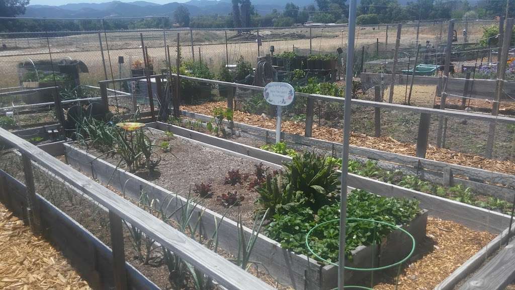 Las Flores Community Garden | 1300 E Avenida De Las Flores, Thousand Oaks, CA 91360