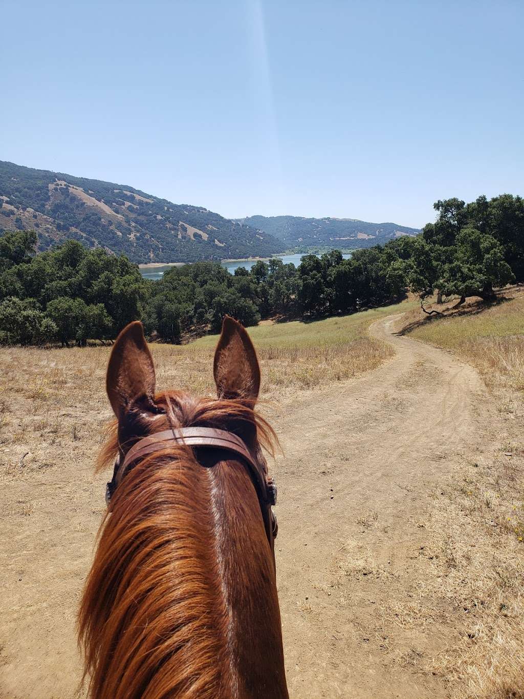 Thorsons Arena | 2005 Hayes Ln, San Martin, CA 95046, USA | Phone: (408) 310-7754