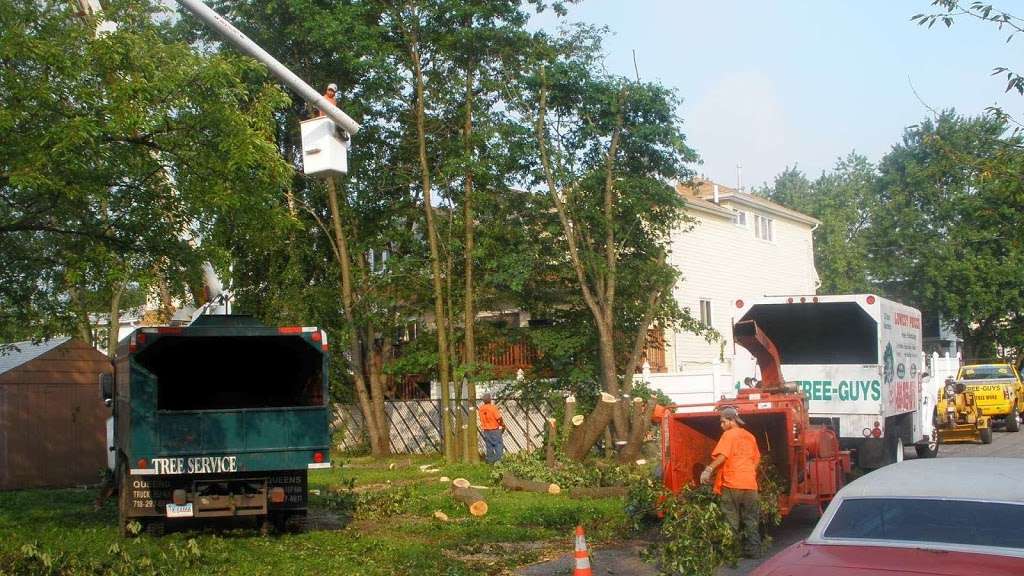 Tree Guys Tree Service & Landscaping | 196 Southwynd Dr, Milford, PA 18337, USA | Phone: (888) 873-3489
