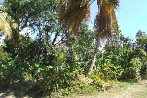 Land for sale at jacmel, Haiti (by the beach) | 1750 Carolina Wren Dr, Ocoee, FL 34761, USA | Phone: (407) 929-1957