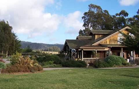 Santa Cruz North / Costanoa KOA | 2001 Rossi Rd, Pescadero, CA 94060 | Phone: (650) 879-7302