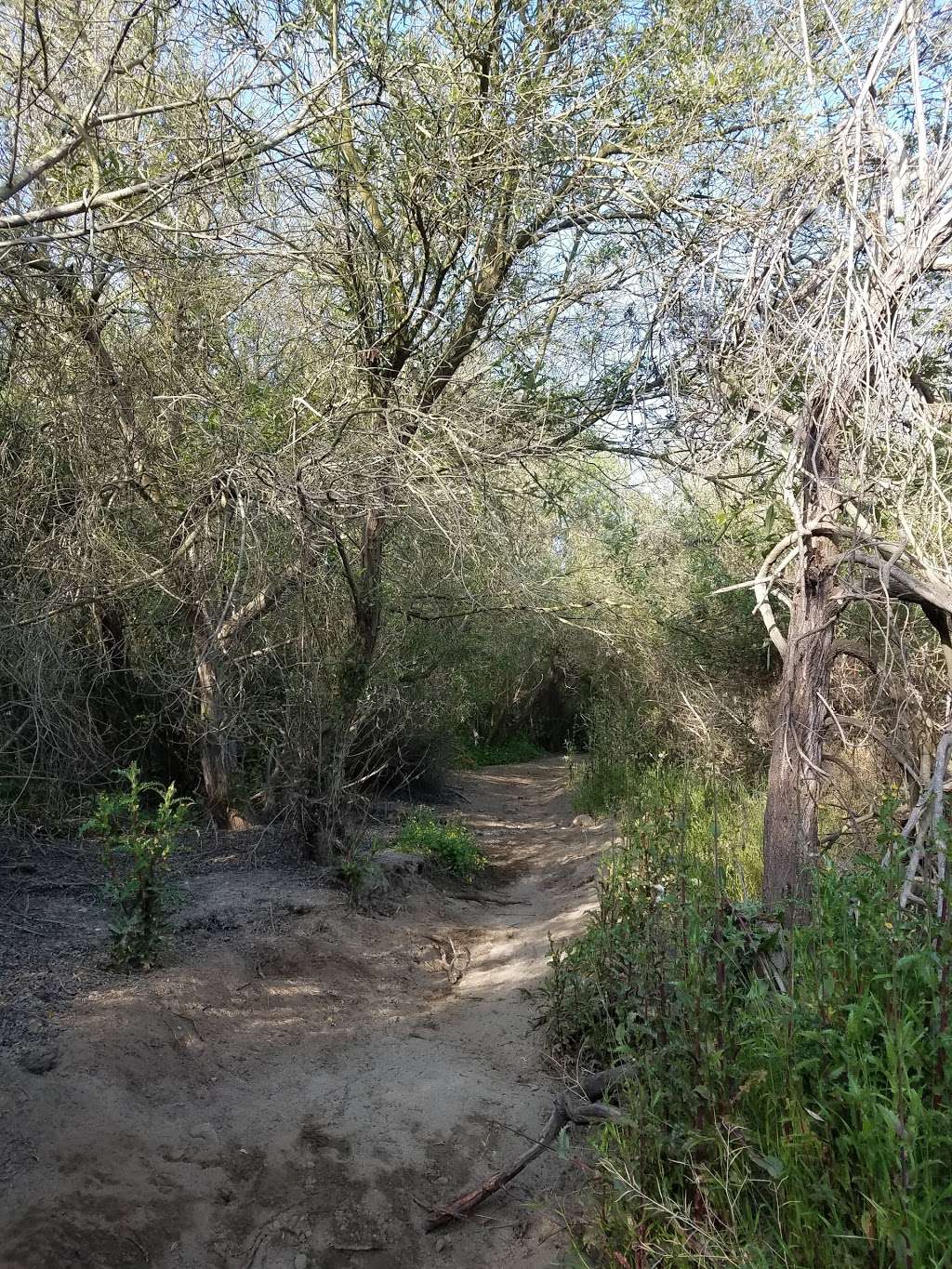 Tijuana River County Open Space Preserve | 2721 Monument Rd, San Diego, CA 92154, USA | Phone: (619) 428-2946