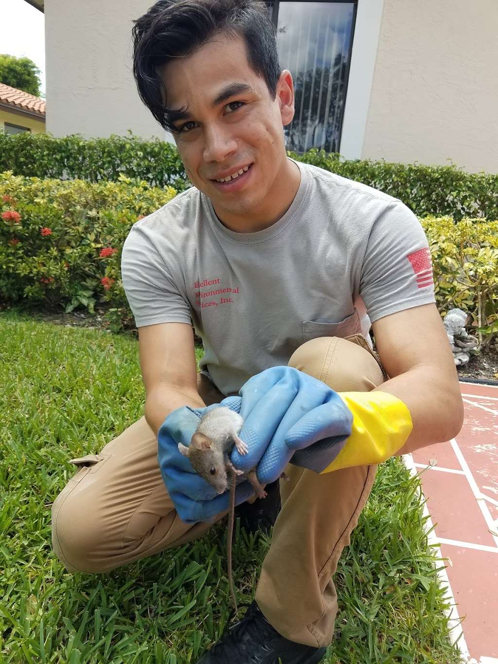 Excellent Environmental Services Inc (PEST CONTROL) | 5631, 5375 3rd Rd, Lake Worth, FL 33467, USA | Phone: (561) 964-7003