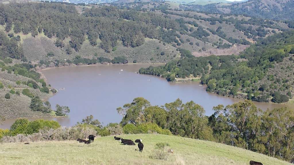 Lake Chabot Regional Park | 17600 Lake Chabot Rd, Castro Valley, CA 94546, USA | Phone: (888) 327-2757