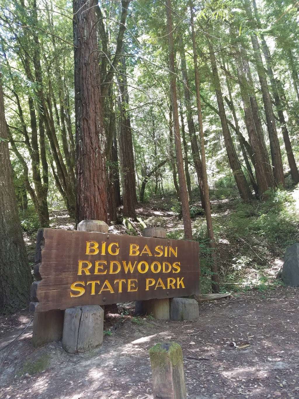 Big Basin Redwoods State Park | 21600 Big Basin Way, Boulder Creek, CA 95006, USA | Phone: (831) 338-8861