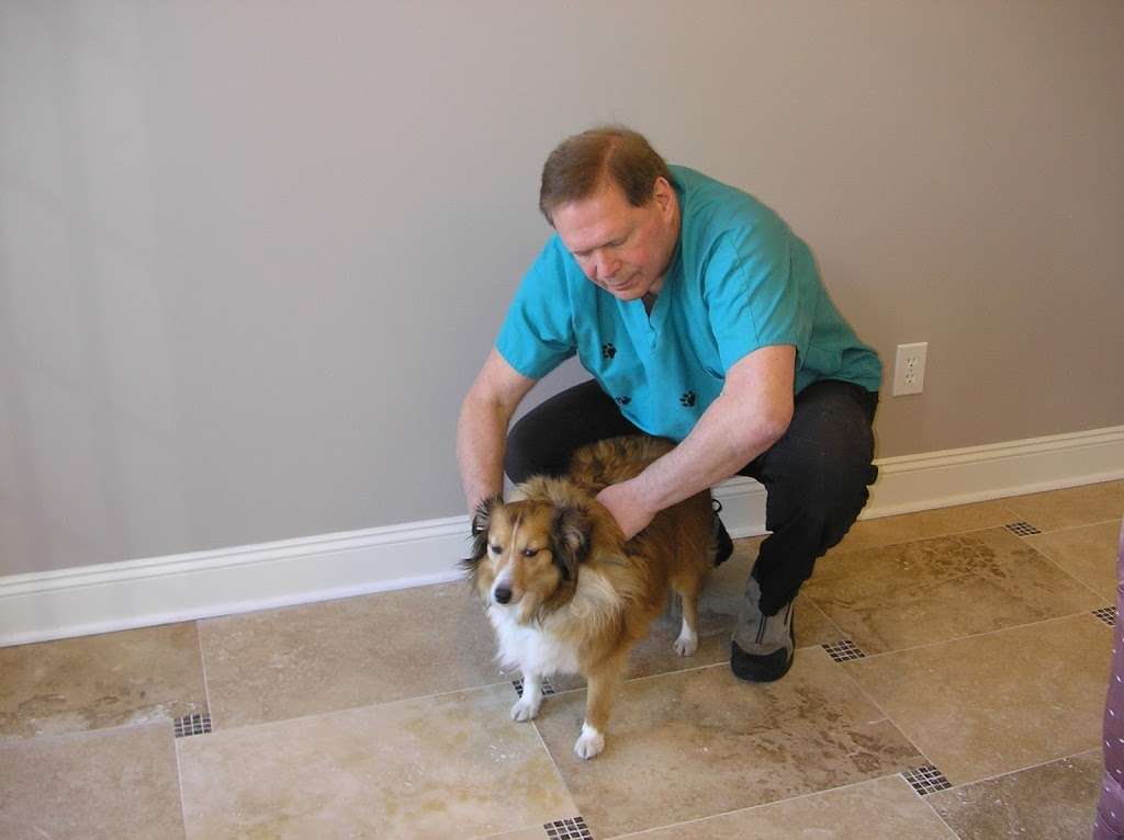 Dr. Marc Sommer, DC, CAC, AVCA Certified Animal Chiropractor | Mikes Feed Farm, 90 Hamburg Turnpike, Riverdale, NJ 07457, USA | Phone: (973) 838-2106