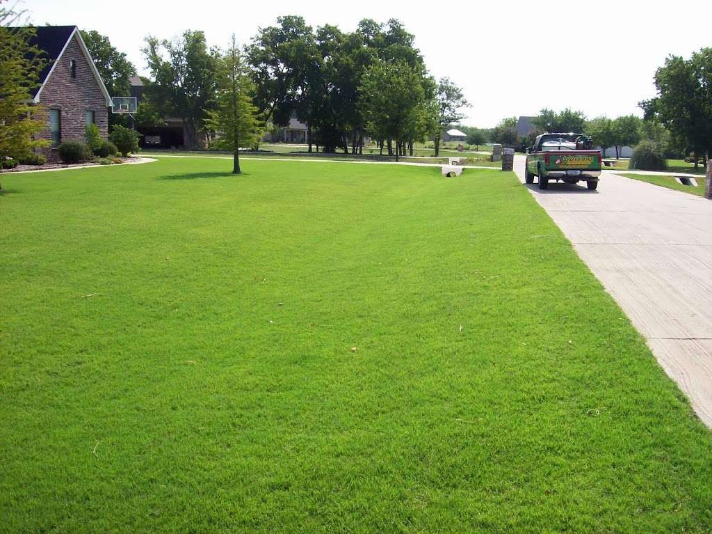 Abracadabra Pest & Weed Control | 2559 Elm Grove Rd, Wylie, TX 75098, USA | Phone: (214) 245-6150