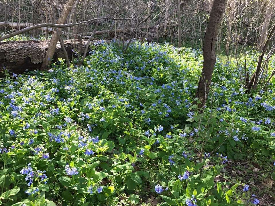 Red Rock Wilderness Overlook Regional Park | 43098 Edwards Ferry Rd NE, Leesburg, VA 20176, USA | Phone: (703) 779-9372