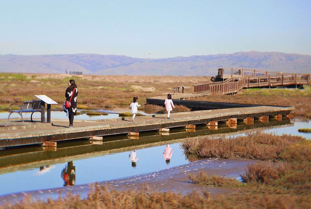 Don Edwards San Francisco Bay National Wildlife Refuge Environme | 1751 Grand Blvd, San Jose, CA 95002 | Phone: (408) 262-5513