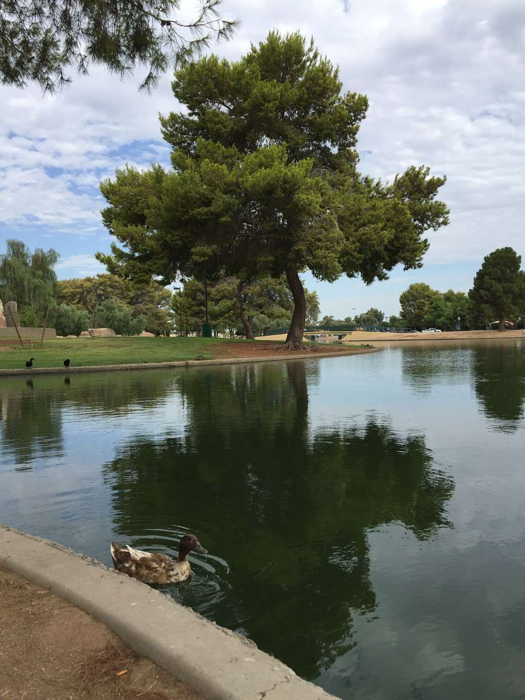 Cortez Park | 9401 N 35th Ave, Phoenix, AZ 85051, USA | Phone: (602) 262-6575 Cortez Park | 9401 N 35th Ave, Phoenix, AZ 85051, USA | Phone: (602) 262-6575