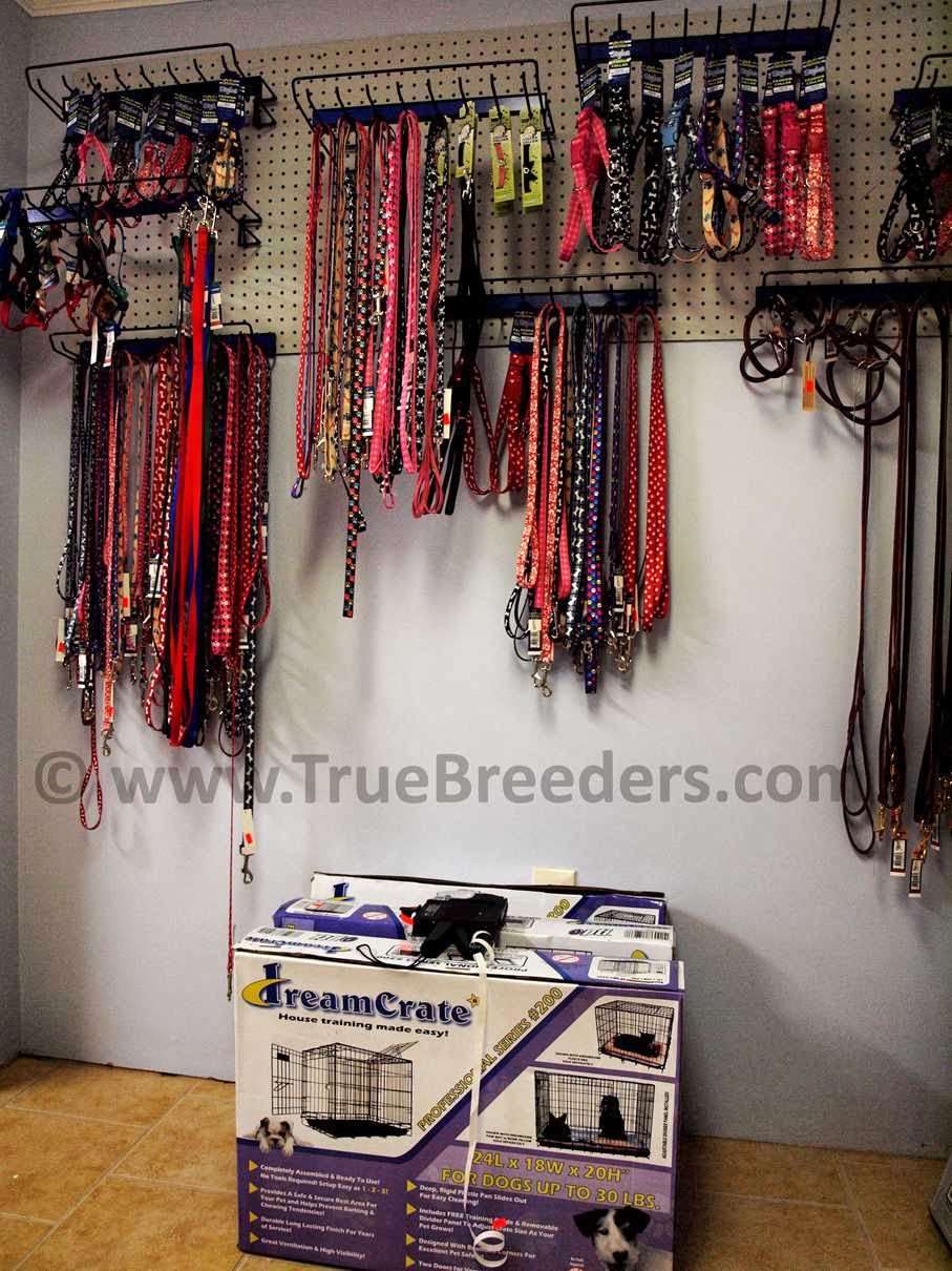 True Breeders | 47 Ethan Allen Hwy, Ridgefield, CT 06776, USA | Phone: (860) 497-5179