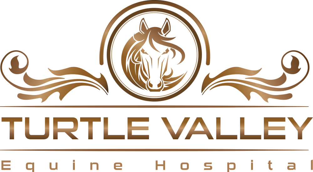 Turtle Valley Equine Hospital | N6255 Church Rd, Delavan, WI 53115, USA | Phone: (262) 458-4501