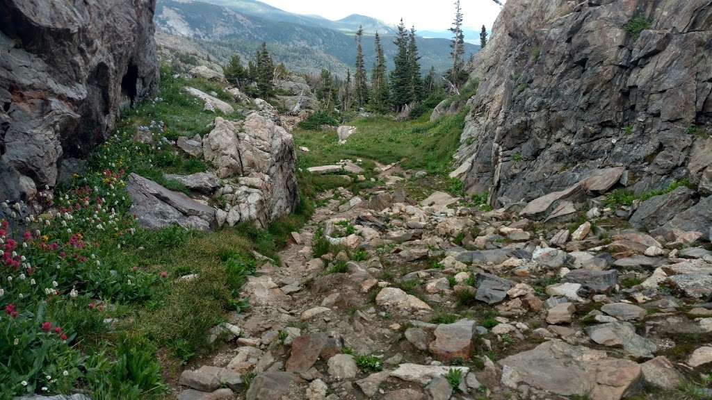 Upper Ouzel Creek | Allenspark, CO 80510, USA