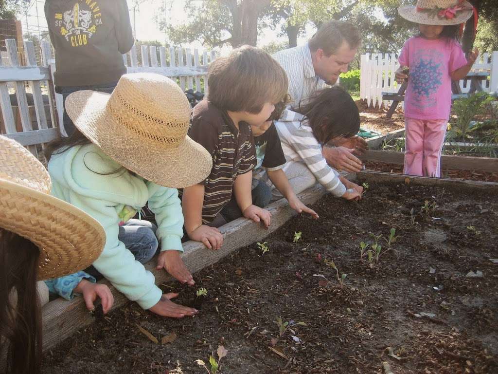 Montessori School of Ojai | 806 Baldwin Rd, Ojai, CA 93023, USA | Phone: (805) 649-2525